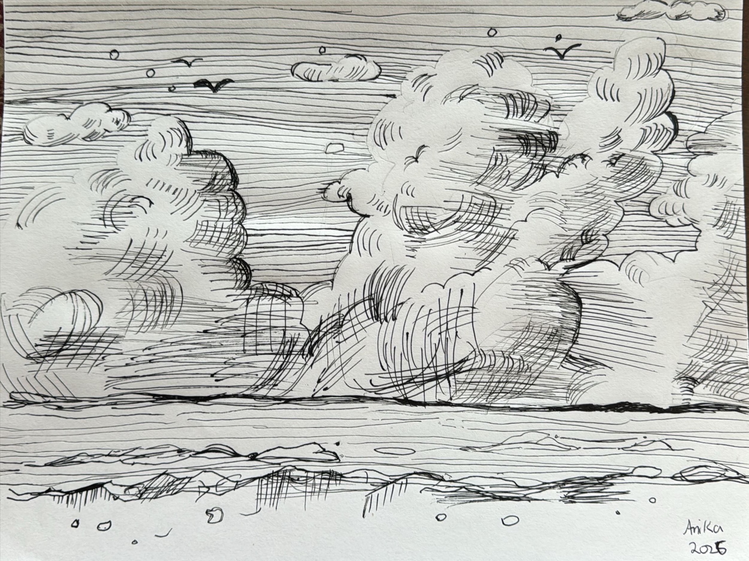 Cloudy Skies